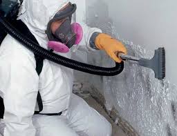 Best Asbestos and Lead Testing During Mold Inspection in USA